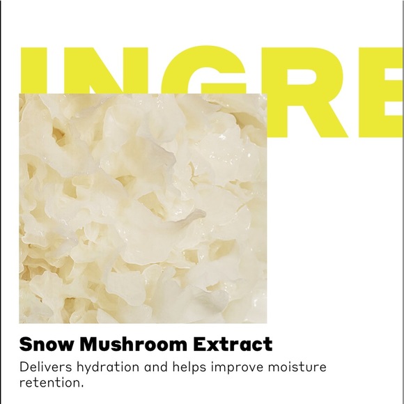 New Volition Snow Mushroom Water Serum / Sephora - Picture 9 of 16